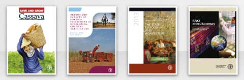 capas-reports-fao-w3